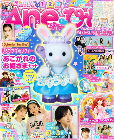 Aneひめ vol．12